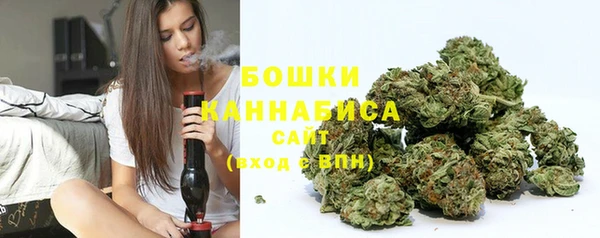 ГАЛЛЮЦИНОГЕННЫЕ ГРИБЫ Липки