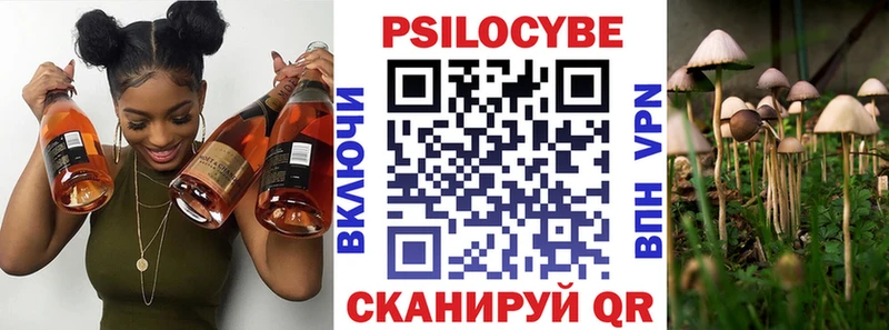 omg ONION  Ильский  Галлюциногенные грибы прущие грибы 
